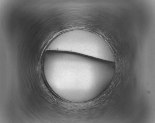 X0000063530002200601201204