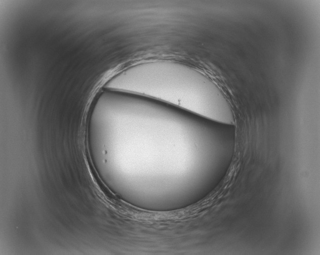 X0000063530003200601201204