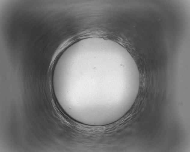 X0000063530004200601201204