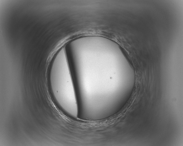 X0000063530005200601201204