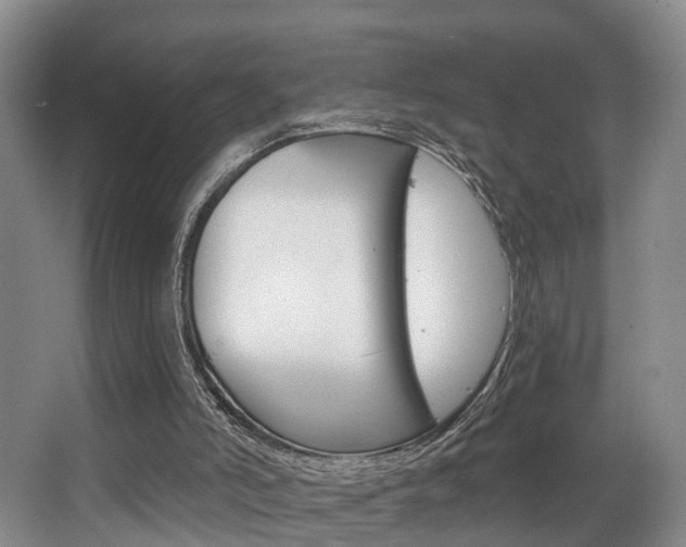 X0000063530006200601201204