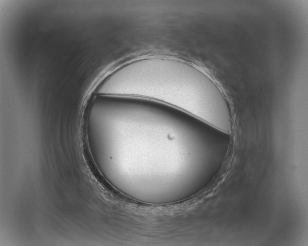 X0000063530007200601201204