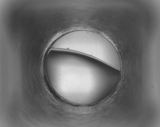 X0000063530008200601201204