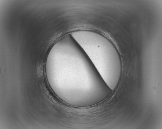 X0000063530010200601201204