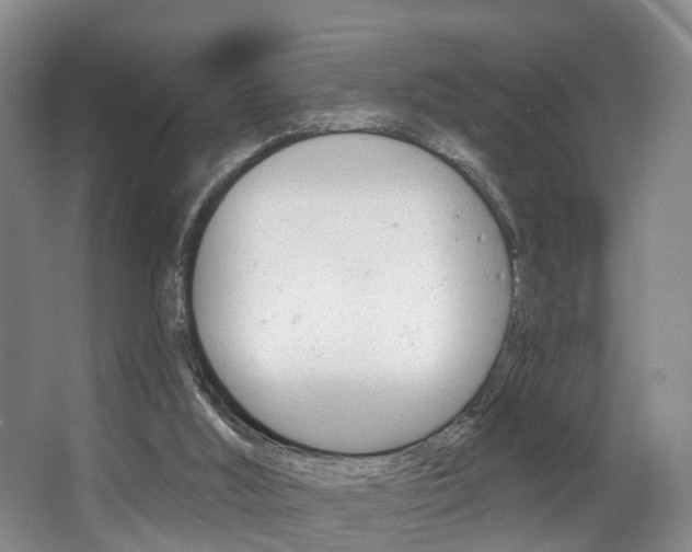 X0000063530012200601201204