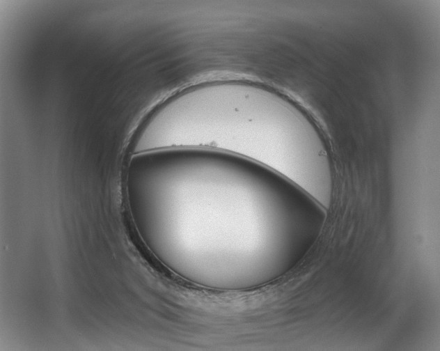 X0000063530015200601201203