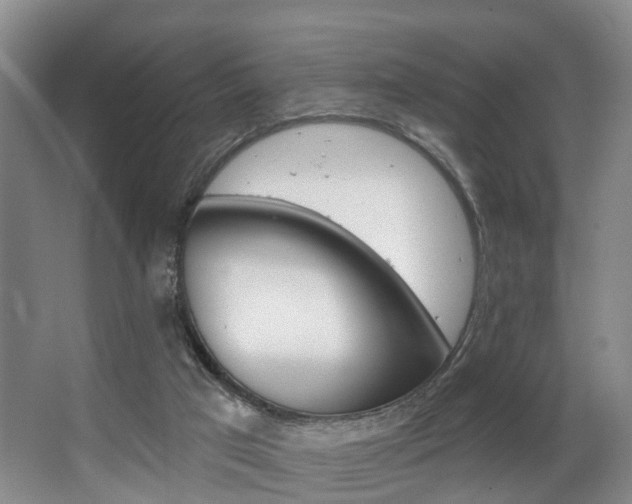 X0000063530017200601201203