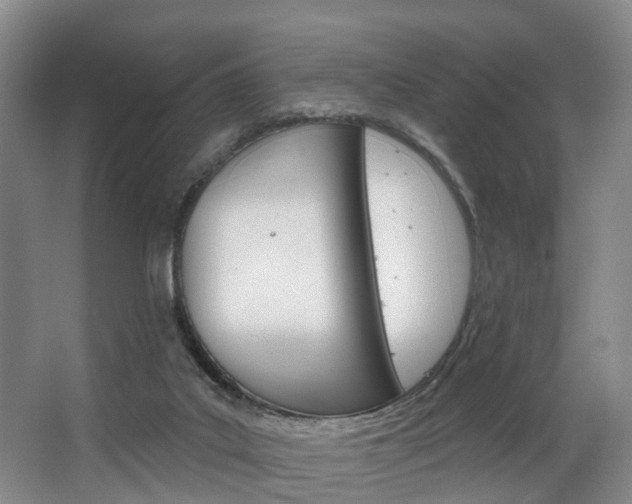 X0000063530019200601201203