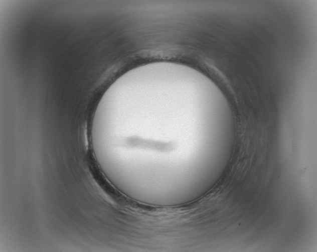 X0000063530020200601201203