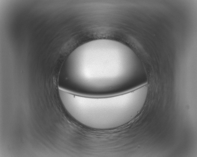 X0000063530025200601201203