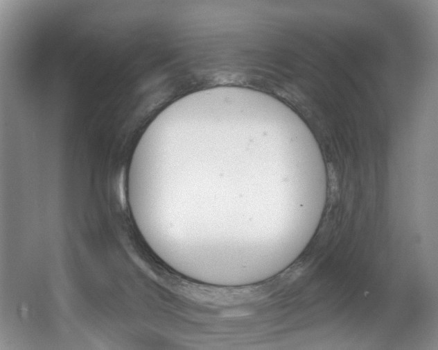 X0000063530028200601201203