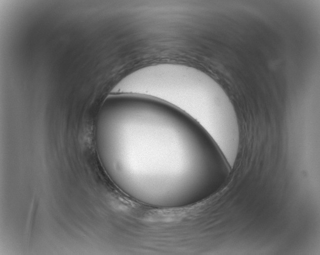 X0000063530033200601201203