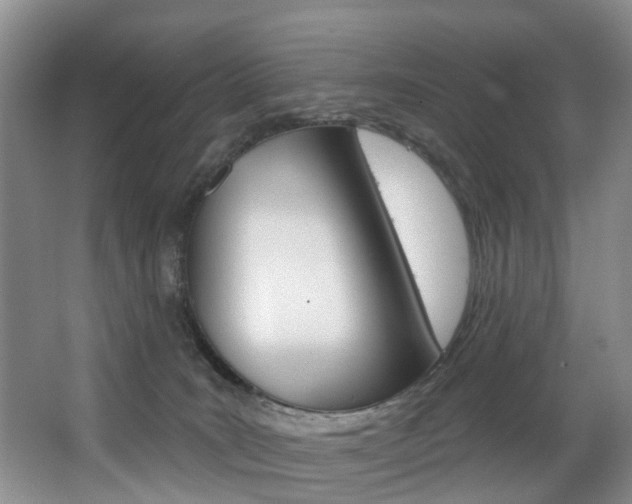 X0000063530035200601201203