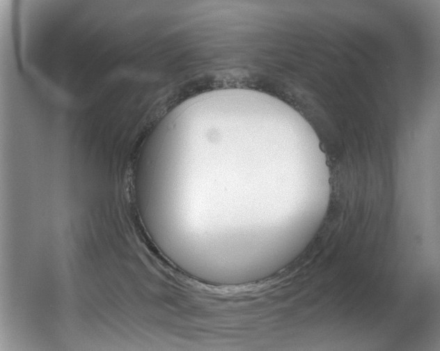 X0000063530038200601201203