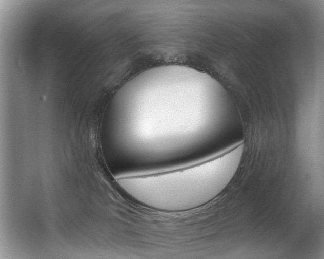 X0000063530039200601201203