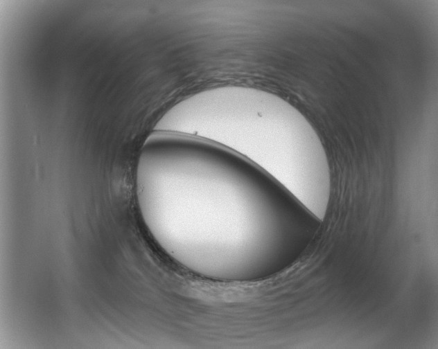 X0000063530040200601201203