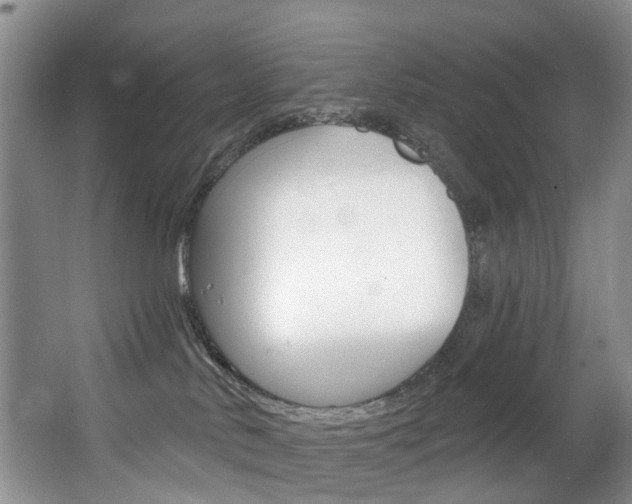 X0000063530042200601201203