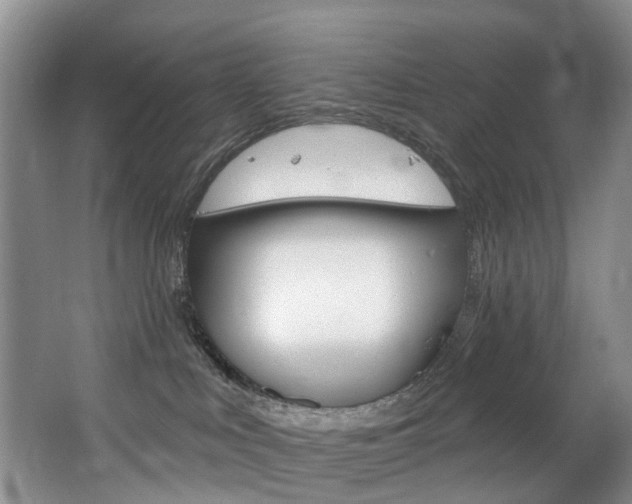 X0000063530043200601201203