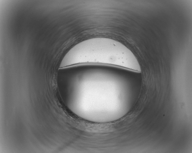 X0000063530044200601201203