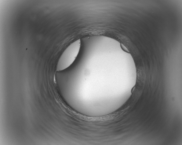 X0000063530046200601201203