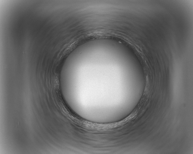 X0000063530048200601201203