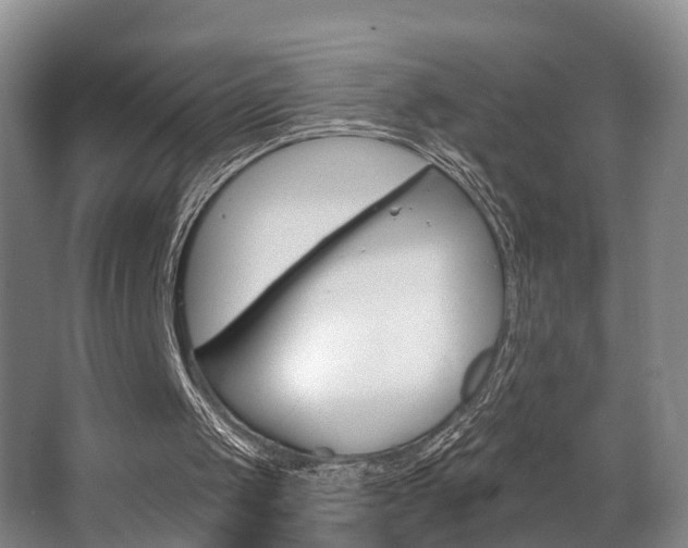 X0000063530049200601201202