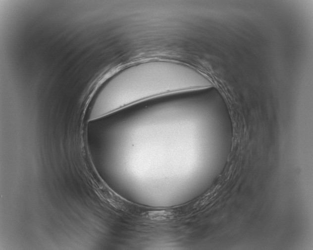 X0000063530050200601201202