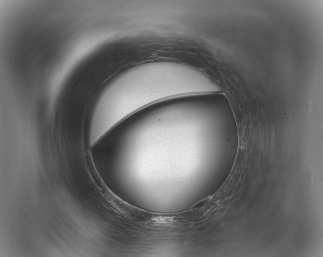 X0000063530052200601201202