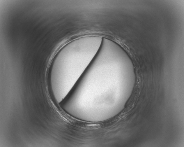 X0000063530053200601201202