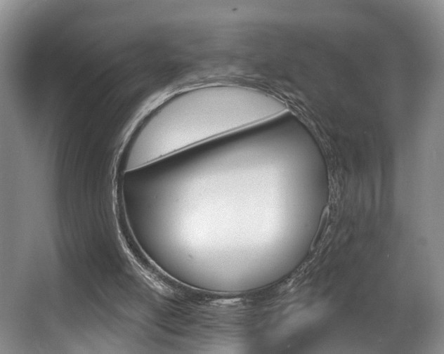 X0000063530054200601201202