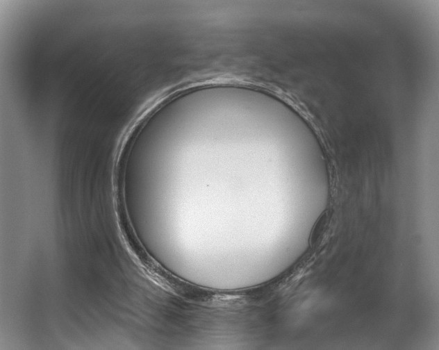 X0000063530055200601201202