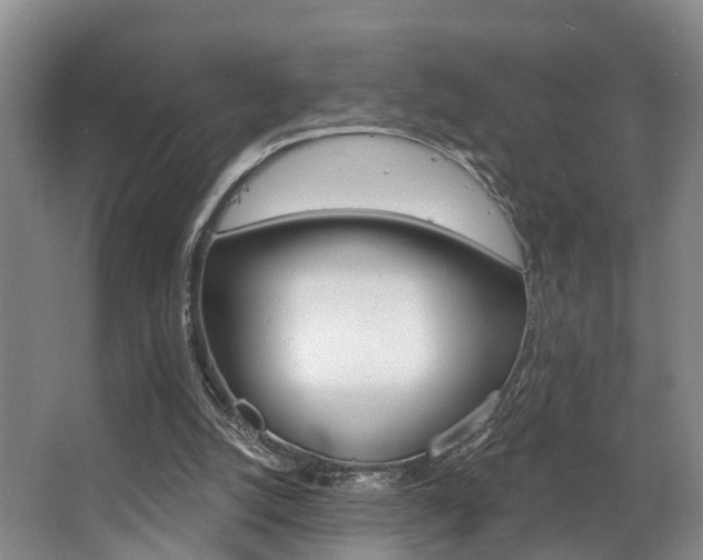 X0000063530056200601201202