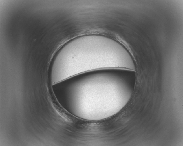 X0000063530059200601201202