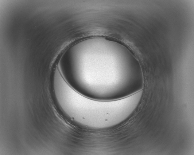 X0000063530060200601201202