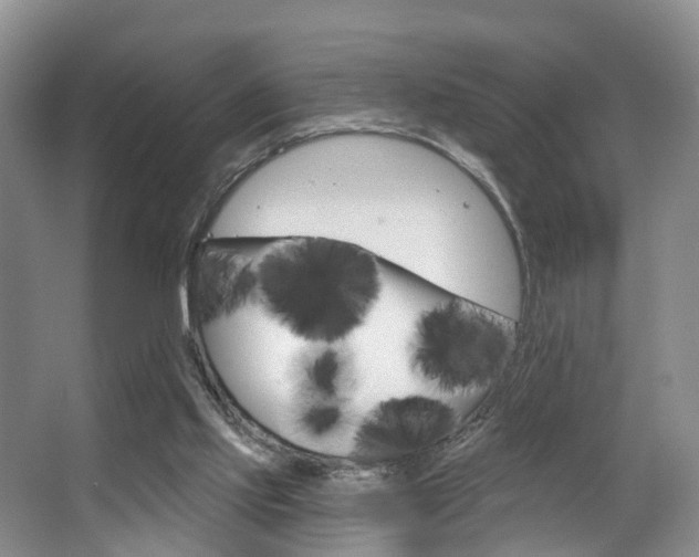 X0000063530061200601201202