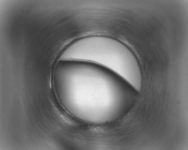 X0000063530062200601201202