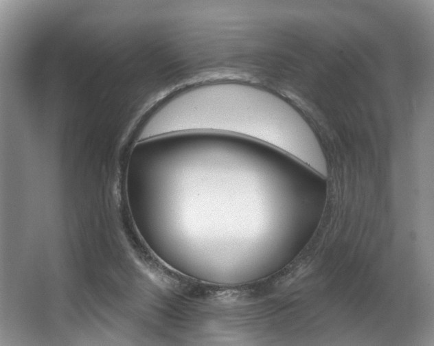 X0000063530064200601201202