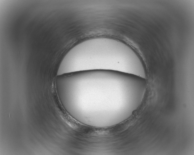 X0000063530065200601201202