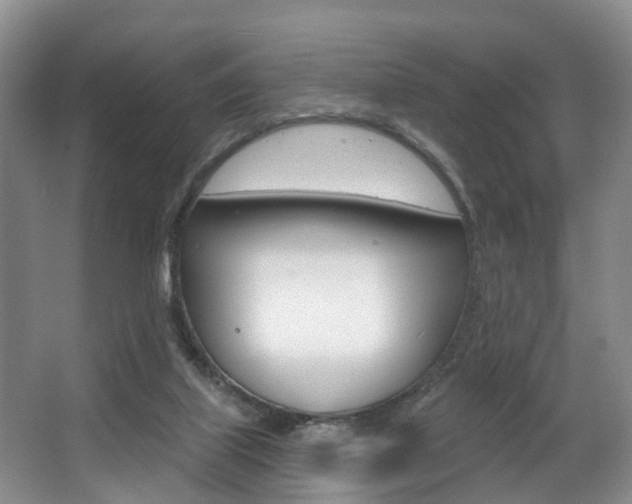 X0000063530067200601201202