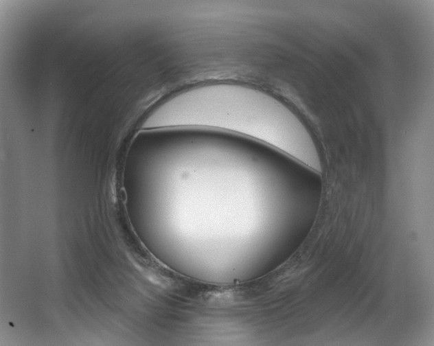 X0000063530068200601201202