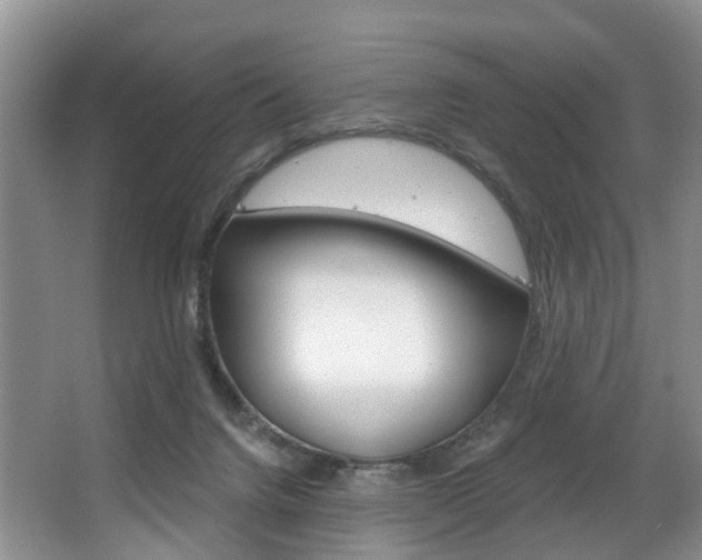 X0000063530072200601201202