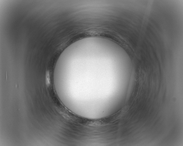 X0000063530075200601201203