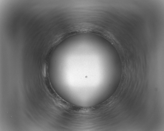 X0000063530076200601201203