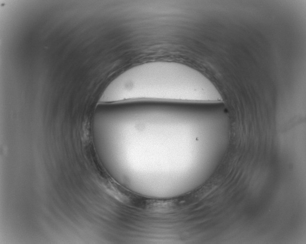 X0000063530081200601201203