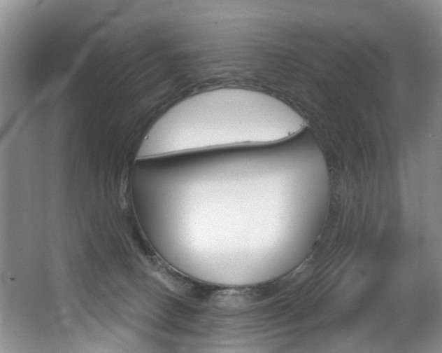 X0000063530082200601201203