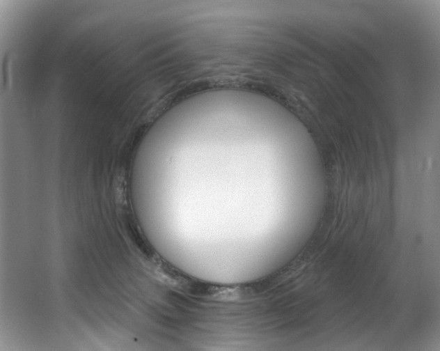 X0000063530083200601201203