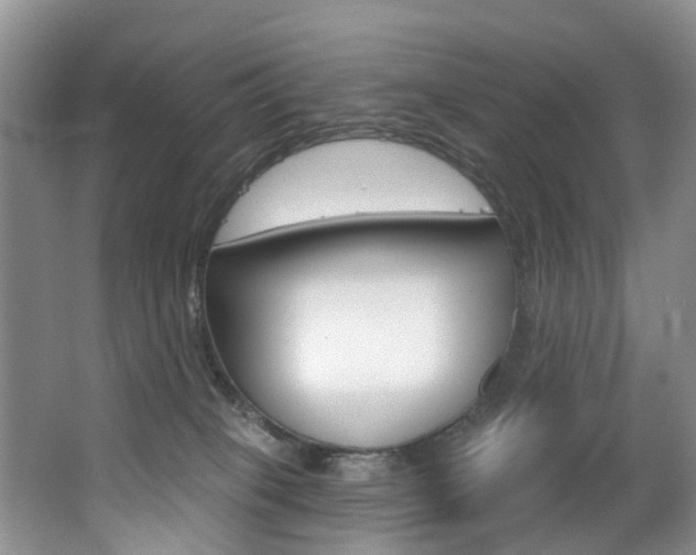 X0000063530085200601201203