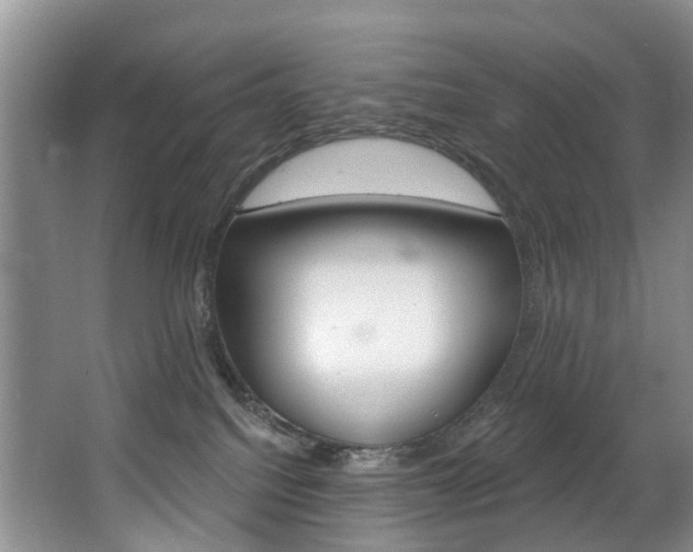 X0000063530088200601201203