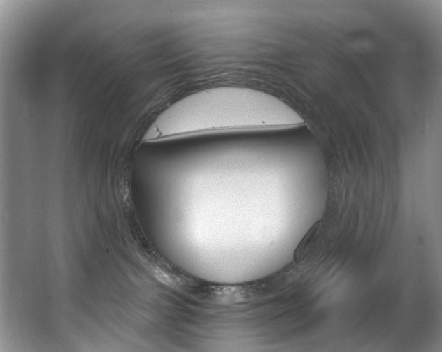 X0000063530091200601201203