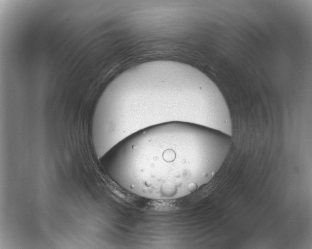 X0000063530093200601201203